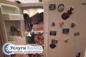 Холодильник SAMSUNG SR-S22NTD внутри