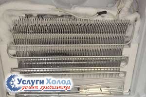 Неисправность автоматической разморозки в ARISTON ECF2014XL