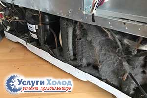 Очистка конденсатора GENERAL ELECTRIC RCE25RGBBFKB