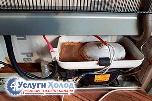 Установка дренажного ТЭНа холодильника NEFF K5890X4