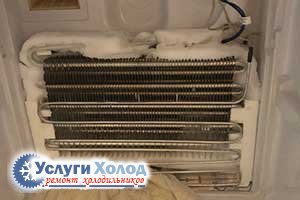 Ремонт системы No Frost INDESIT BIA20NF