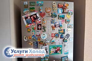 Ремонт холодильника SIEMENS KG49NA71